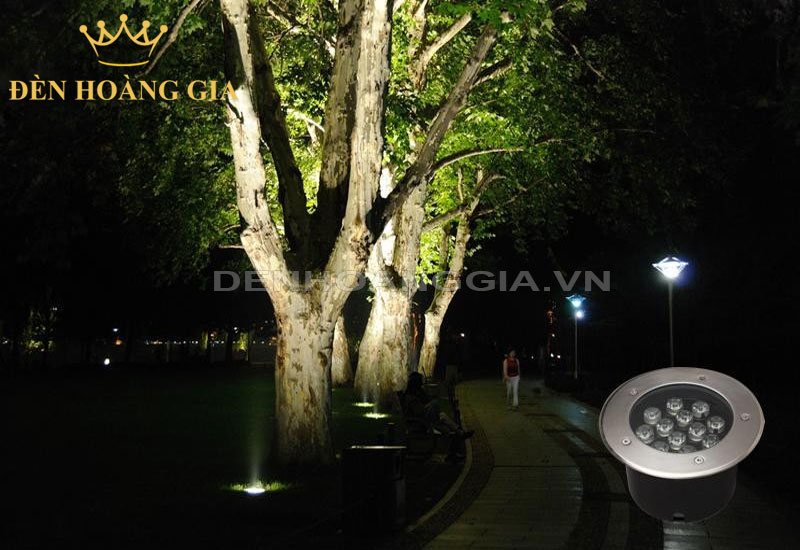 Lắp đèn led âm đất chiếu hắt gốc cây