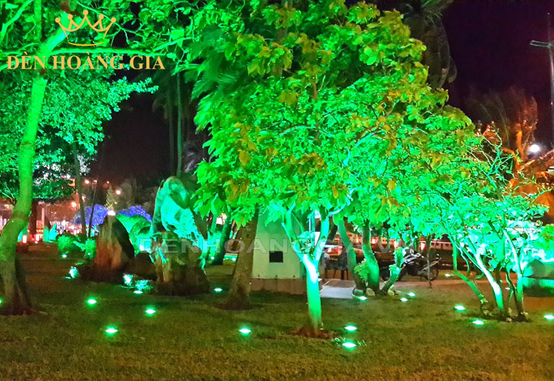 Ứng dụng lắp đèn led âm đất trang trí chiếu sáng cây xanh