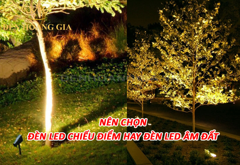 Nên lắp đèn led âm đất hay đèn led chiếu điểm?