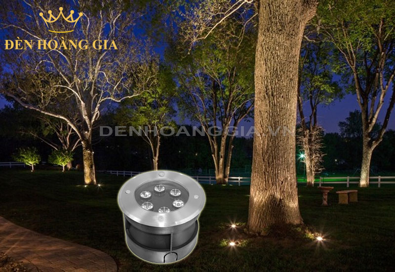 Ứng dụng lắp đèn led âm đất để chiếu sáng cho các gốc cây lớn