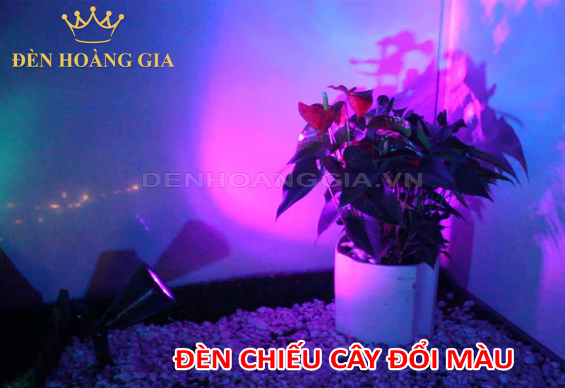 Đèn chiếu cây đổi màu