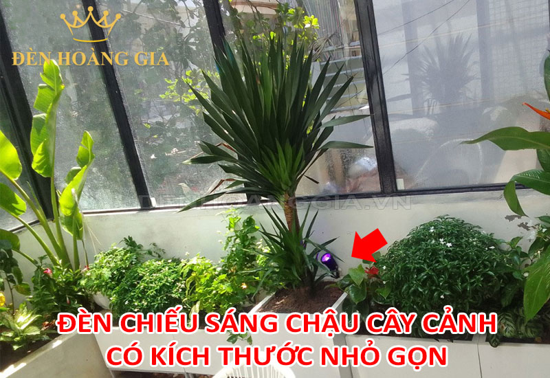 Đèn chiếu sáng chậu cây cảnh có kích thước nhỏ gọn