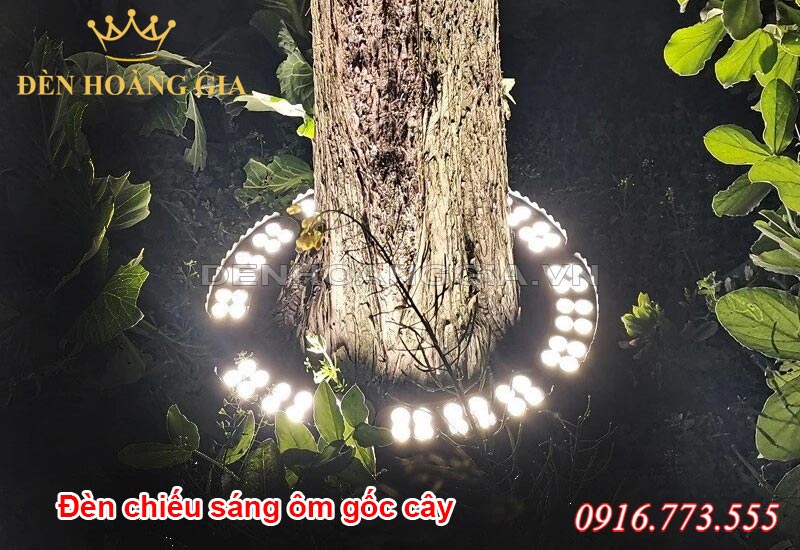 den-chieu-sang-om-goc-cay-la-gi