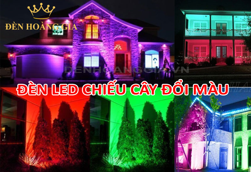 Đèn led chiếu cây đổi màu đa dạng màu sắc