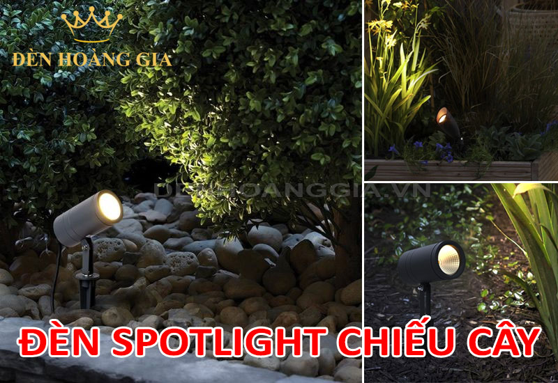 Đèn spotlight chiếu cây ngoài trời