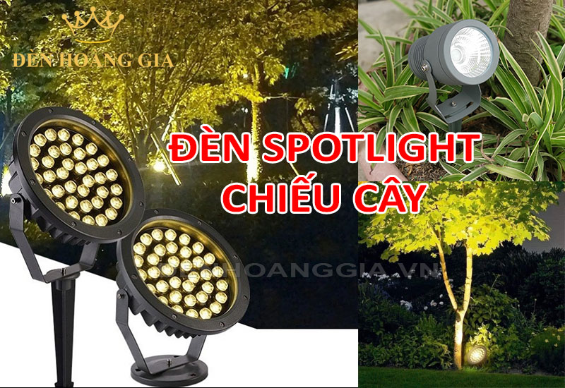 Đèn spotlight chiếu cây