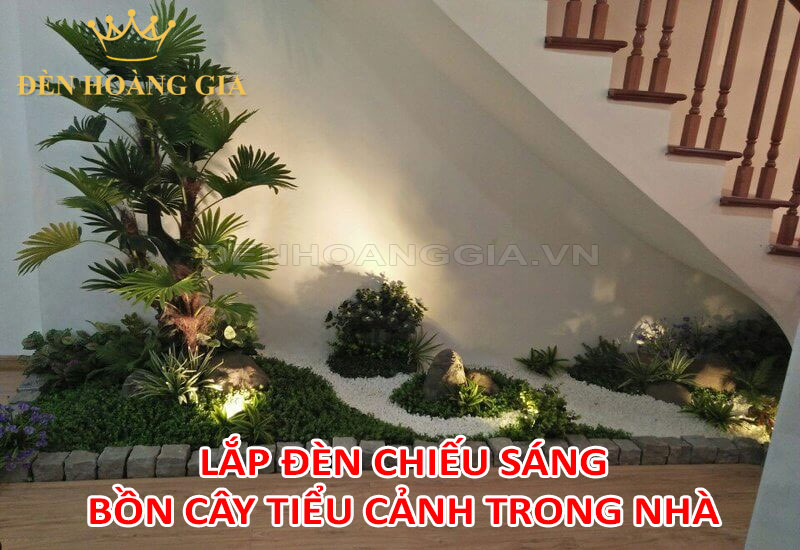 Lắp đèn chiếu sáng bồn cây tiểu cảnh trong nhà