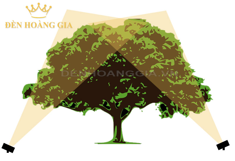 Phương pháp chiếu cây tiêu điểm