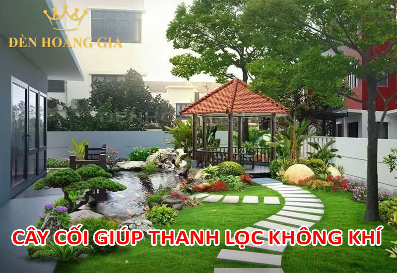 Cây cối giúp thanh lọc không khí