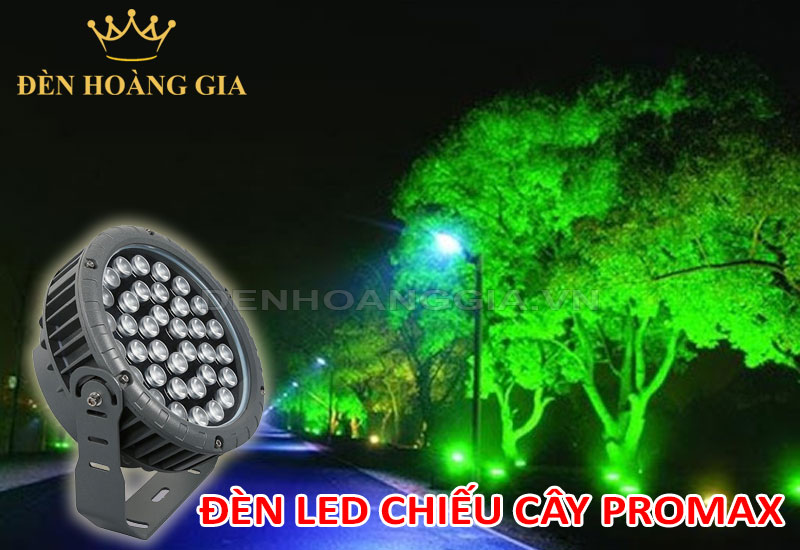 Chiếu sáng cây xanh bóng mát với đèn led chiếu cây Promax