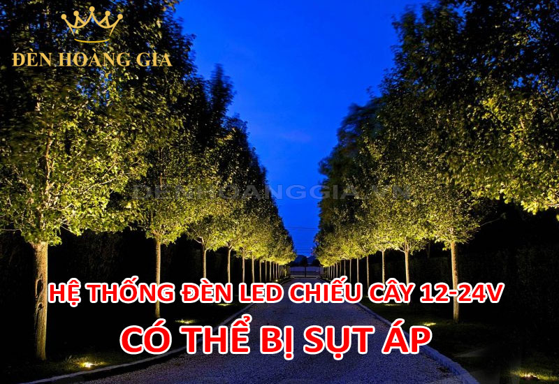 Hệ thống đèn led chiếu cây 12-24V có thể gặp sụt áp