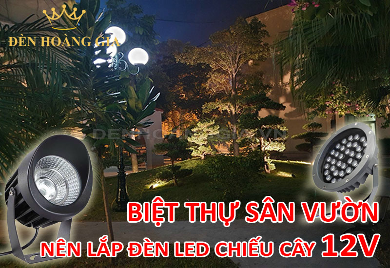 Lắp đèn led chiếu cây 12V cho sân vườn biệt thự