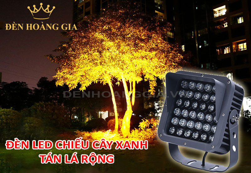 Đèn chiếu sáng cây xanh bóng mát có tán lá rộng