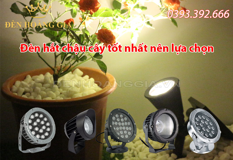 den-hat-chau-cay-tot-nhat-nen-lua-chon