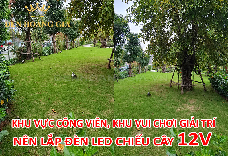 Lắp đèn led chiếu cây 12V cho công viên