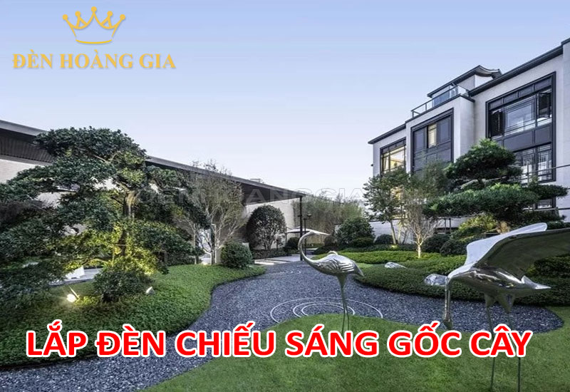 Lắp đèn chiếu sáng cho gốc cây ngoài sân vườn