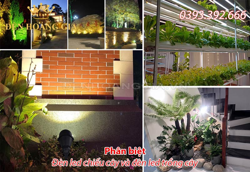 phan-biet-den-led-chieu-cay-va-den-led-trong-cay