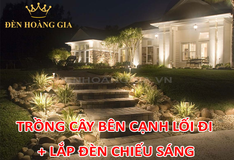 Trồng cây bên cạnh lối đi và lắp đèn chiếu sáng