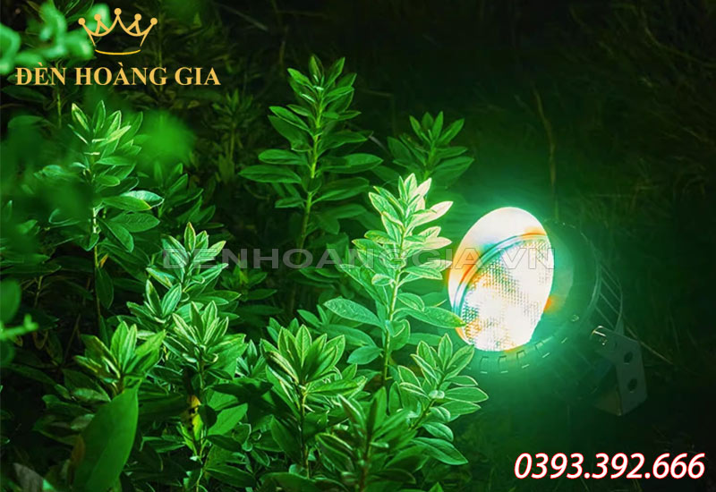 cach-dung-den-led-chieu-sang-cho-cay-nho