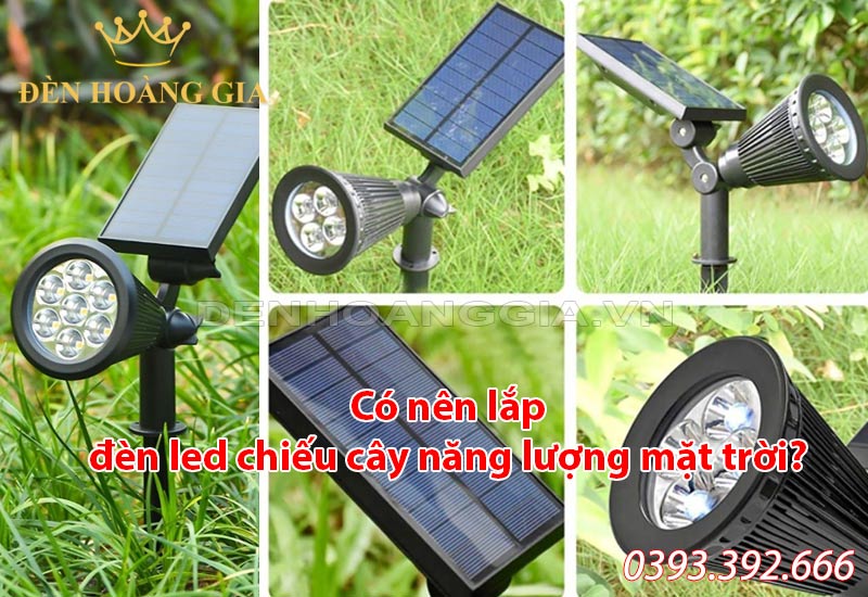 co-nen-lap-den-led-chieu-cay-nang-luong-mat-troi-khong
