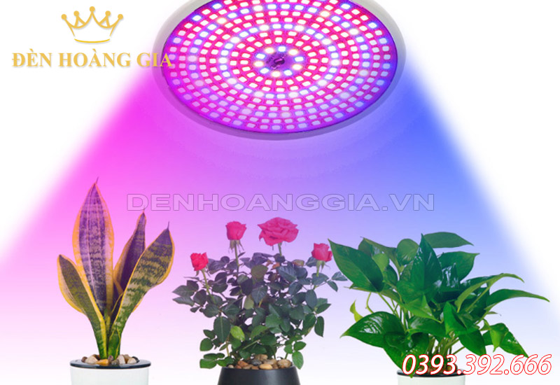 den-led-chieu-sang-cho-cay-trong