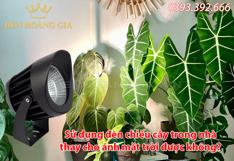 su-dung-den-chieu-cay-trong-nha-thay-cho-anh-mat-troi-duoc-khong
