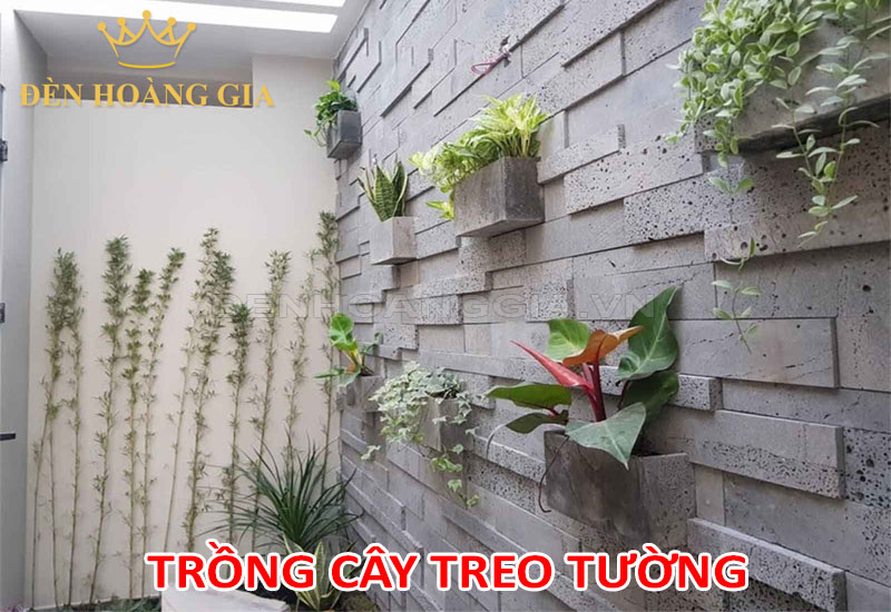 Trang trí vách tường đơn giản với chậu cây treo tường