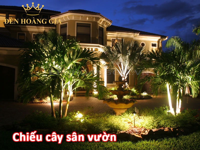 Lắp đèn chiếu cây sân vườn