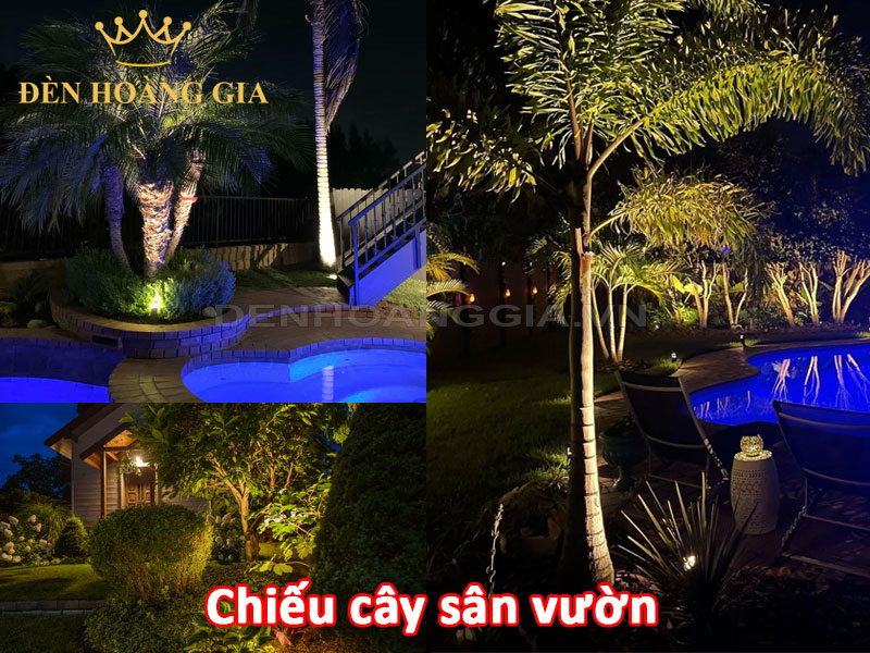 Ứng dụng lắp đèn chiếu cây trong sân vườn