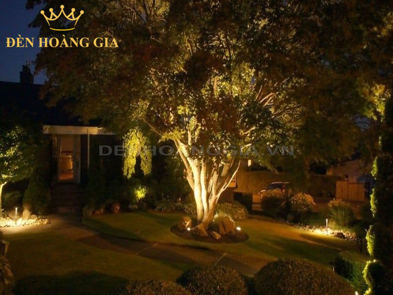 Cách đơn giản nhất để chiếu sáng một cái cây