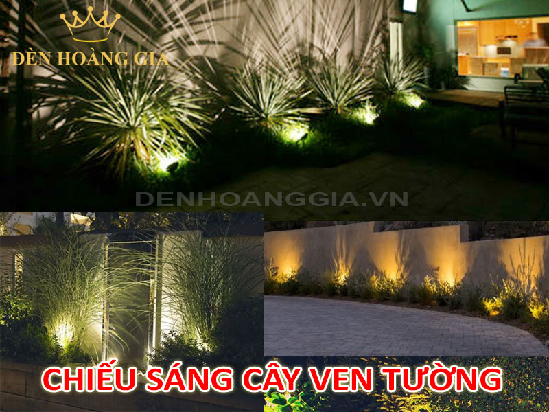Chiếu sáng cây trồng cạnh một bức tường
