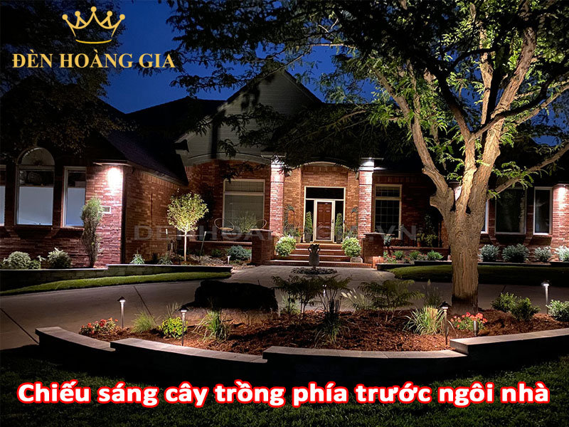 Chiếu sáng cây trồng trước nhà