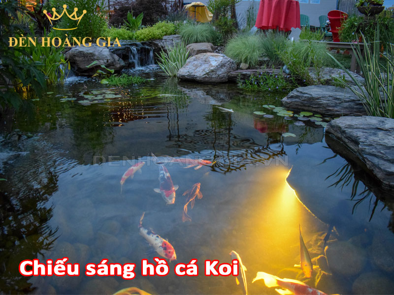Chiếu sáng hồ cá Koi giúp tăng giá trị thẩm mỹ cho ngôi nhà của bạn