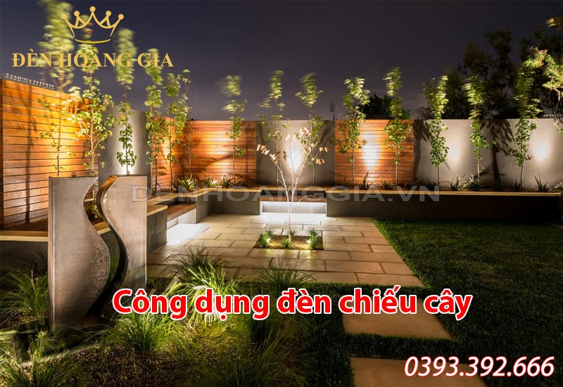 cong-dung-den-chieu-cay