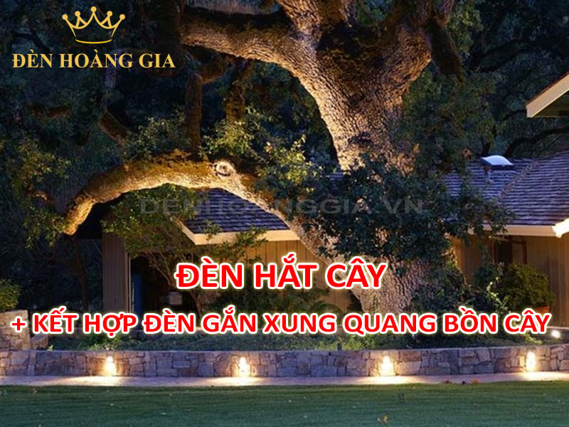 Lắp đèn hắt cây và đèn gắn xung quanh bồn cây