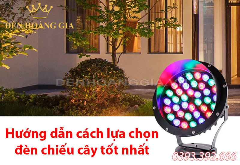 huong-dan-cach-lua-chon-den-chieu-cay-phu-hop-nhat