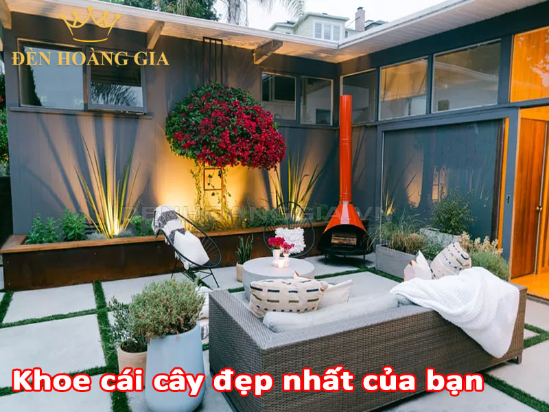 Khoe cây cối trong sân vườn của bạn