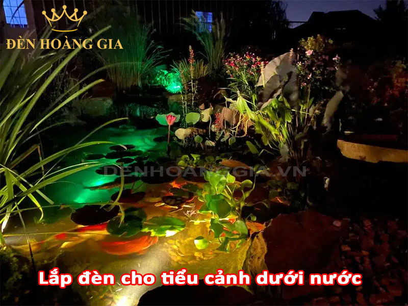 Lắp đèn cho tiểu cảnh dưới nước