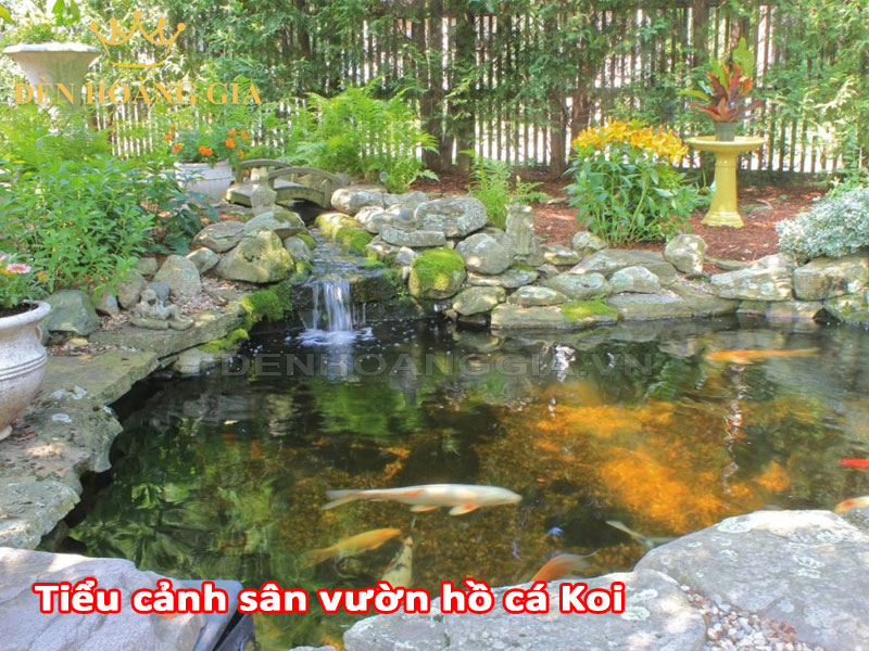 Tiểu cảnh sân vườn hồ cá Koi