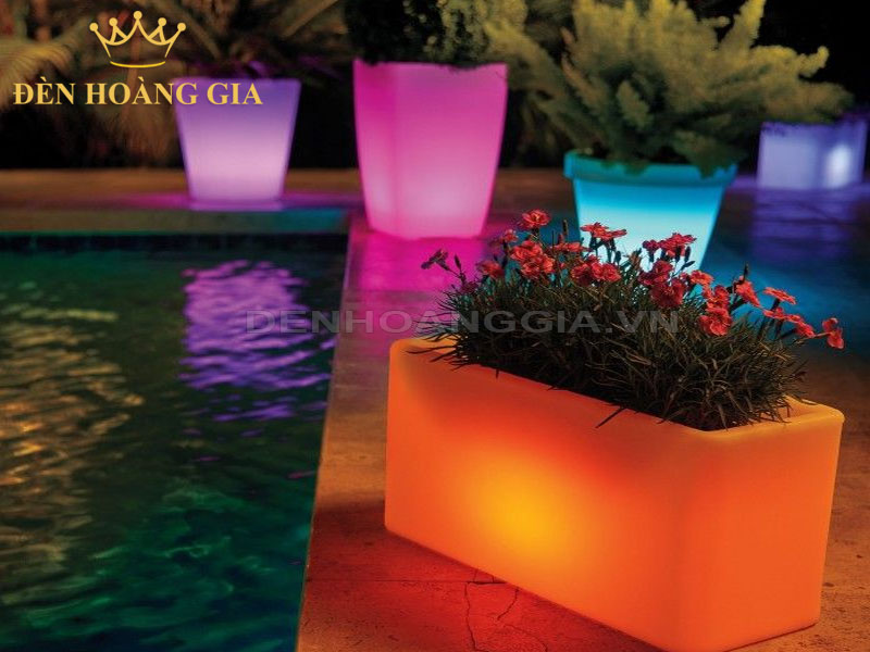 Decor sân vườn với các chậu cây phát sáng