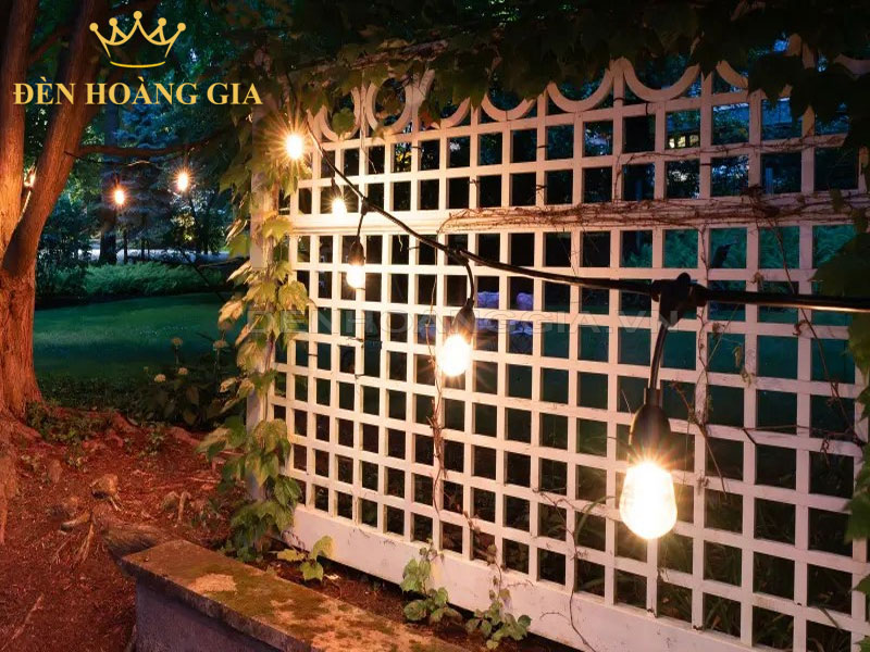 Decor hàng rào sân vườn với đèn led dây đui
