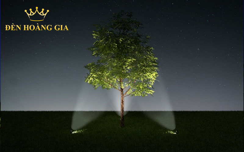 hướng dẫn chiếu sáng cảnh quan chiếu sáng cây xanh 1