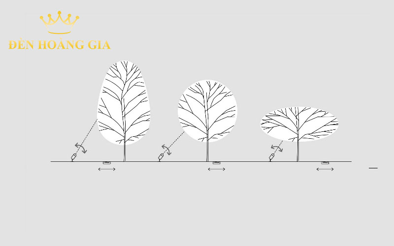 hướng dẫn chiếu sáng cảnh quan chiếu sáng cây xanh 3