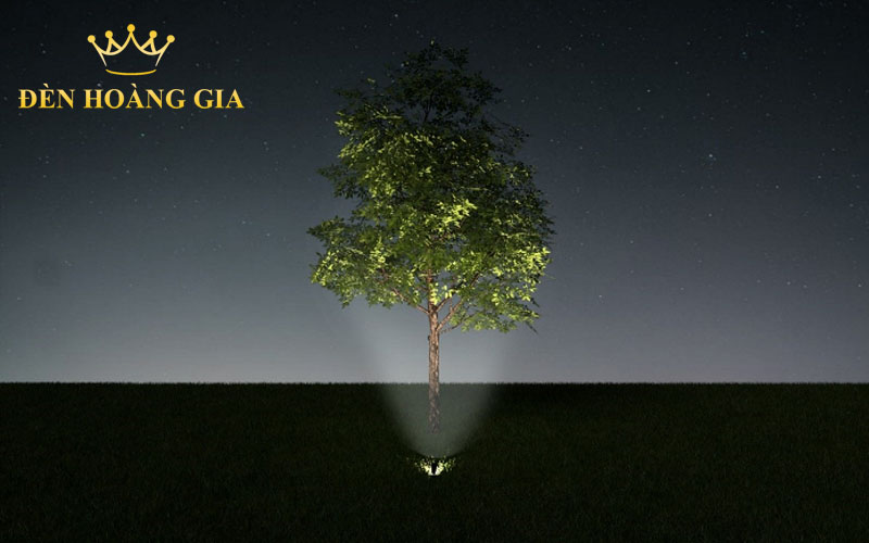 hướng dẫn chiếu sáng cảnh quan chiếu sáng cây xanh 4