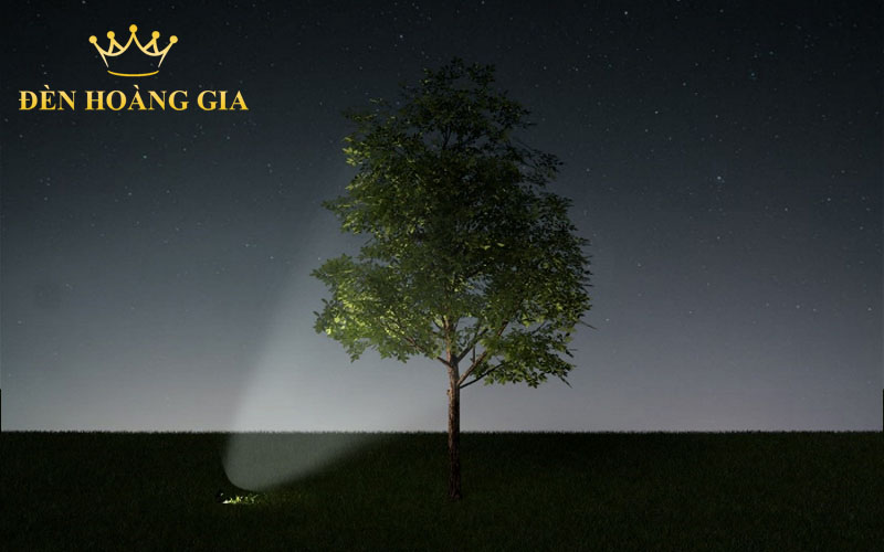 hướng dẫn chiếu sáng cảnh quan chiếu sáng cây xanh 5