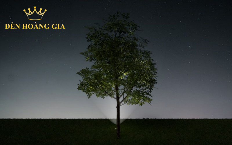 hướng dẫn chiếu sáng cảnh quan chiếu sáng cây xanh 7