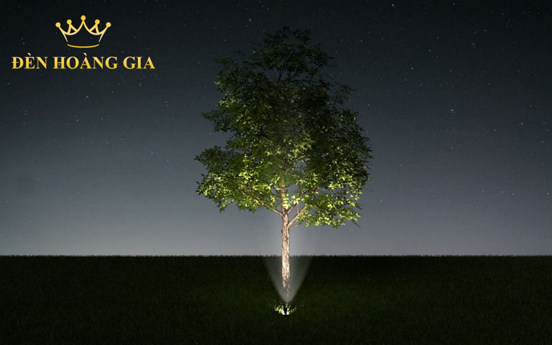 hướng dẫn chiếu sáng cảnh quan chiếu sáng cây xanh 8