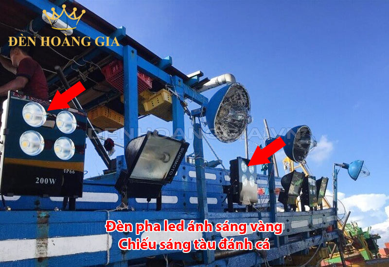 den-pha-led-danh-ca-sieu-sang