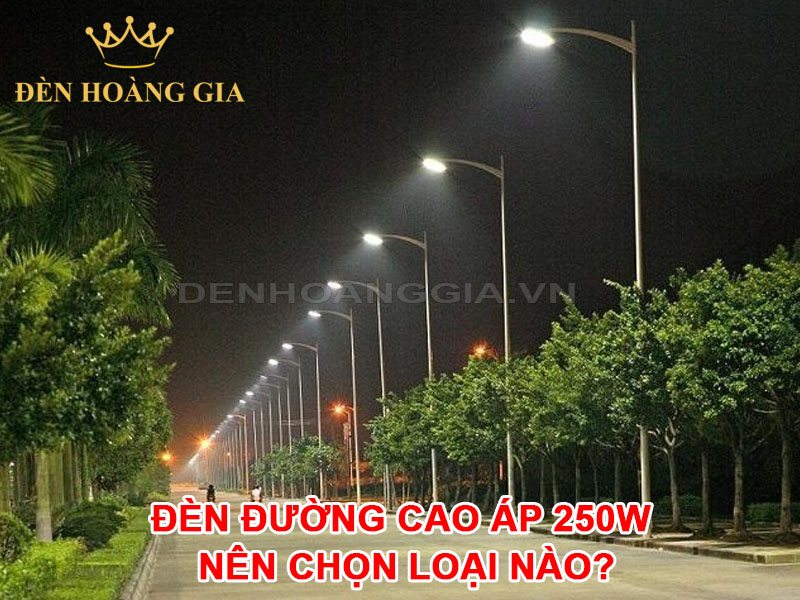 Đèn đường cao áp 250w nên chọn loại nào?
