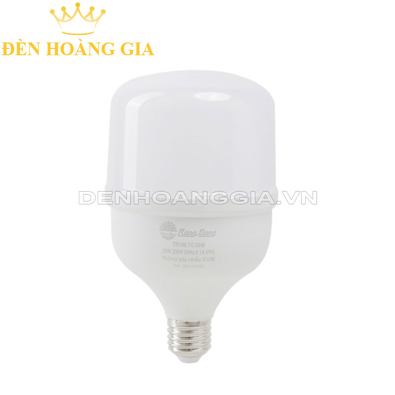 Đèn led búp Rạng Đông đánh cá DC 30w